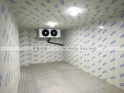 醫(yī)藥保鮮冷庫.jpg