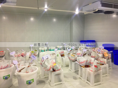 鮮花保鮮冷庫.jpg