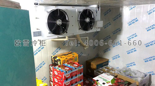 水果保鮮冷庫安裝.jpg 水果保鮮冷庫安裝.jpg