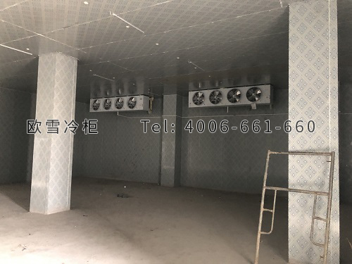肉類(lèi)保鮮冷庫(kù).jpg