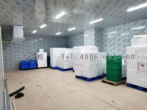 冷凍冷庫(kù)安裝.jpg
