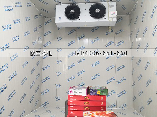 水果保鮮冷庫(kù)安裝.jpg
