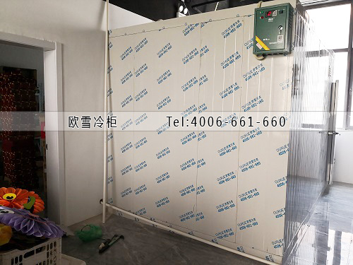 小型水果保鮮冷庫(kù)安裝.jpg