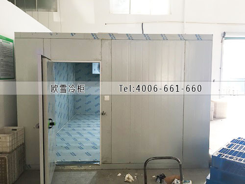 蔬菜保鮮冷庫(kù)安裝.jpg