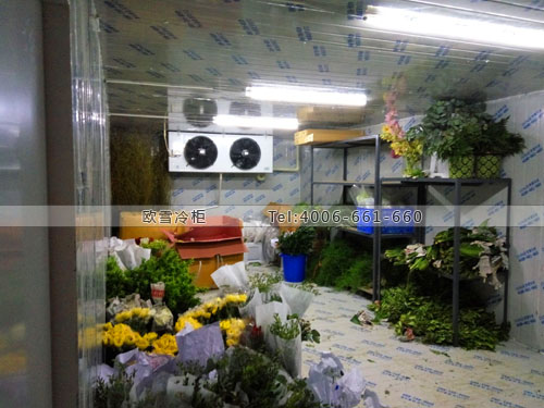 鮮花保鮮冷庫.jpg 鮮花保鮮冷庫.jpg