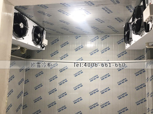 醫(yī)藥冷庫(kù)安裝.jpg