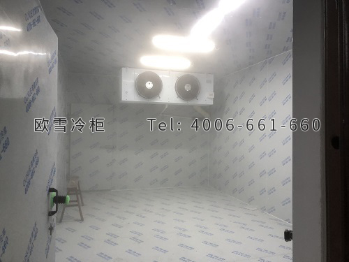 小型冷凍冷庫(kù)安裝.jpg