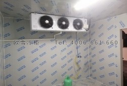 冷庫(kù)建設(shè)多少錢一平方？小型冷庫(kù)工程安裝建造