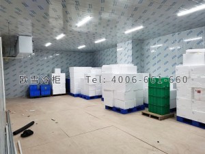 東莞市德聚膠接技術(shù)有限公司冷凍冷庫安裝