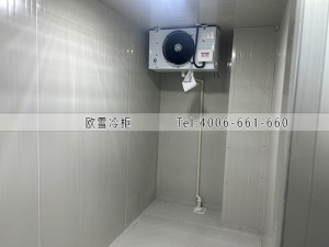 上海靜安區(qū)10立方的小型冷藏冷庫安裝案例