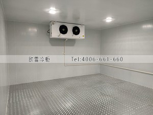 福建莆田冷藏、冷凍冷庫安裝案例