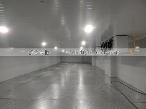 湖南500立方的醫(yī)藥冷藏冷庫安裝案例