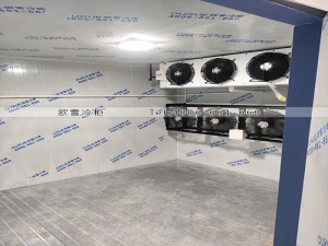 深圳鹽田區(qū)燒臘食品雙溫冷庫(kù)安裝案例