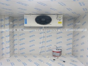 浙江杭州濱江田區(qū)小型冷凍冷庫(kù)安裝案例