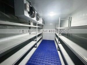 江西小型雙系統(tǒng)醫(yī)藥庫安裝案例