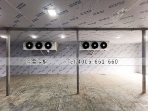 四川省瀘州市肉類冷凍冷庫(kù)冷庫(kù)安裝案例