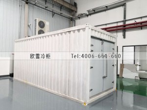湖南弘輝科技有限公司-18℃集裝箱冷凍冷庫安裝